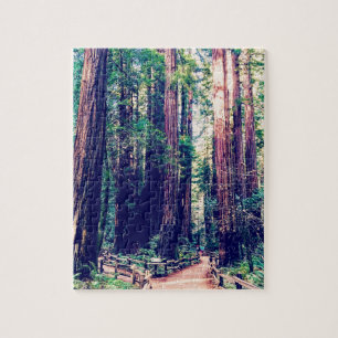 California Redwoods Jigsaw Puzzle