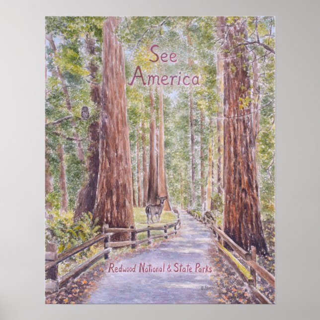 California Redwoods Poster (Front)