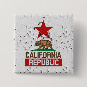 California Republic Peeling Paint Decor 2 Inch Square Button