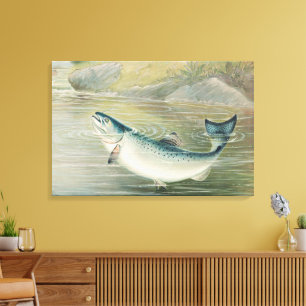California Salmon by S.A. Kilbourne, Vintage Fish Canvas Print