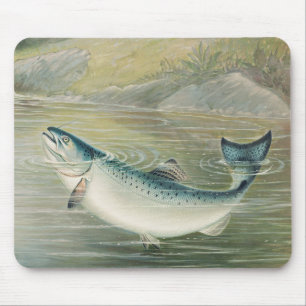 California Salmon by S.A. Kilbourne, Vintage Fish Mouse Pad