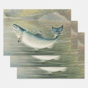California Salmon by S.A. Kilbourne, Vintage Fish Wrapping Paper Sheet