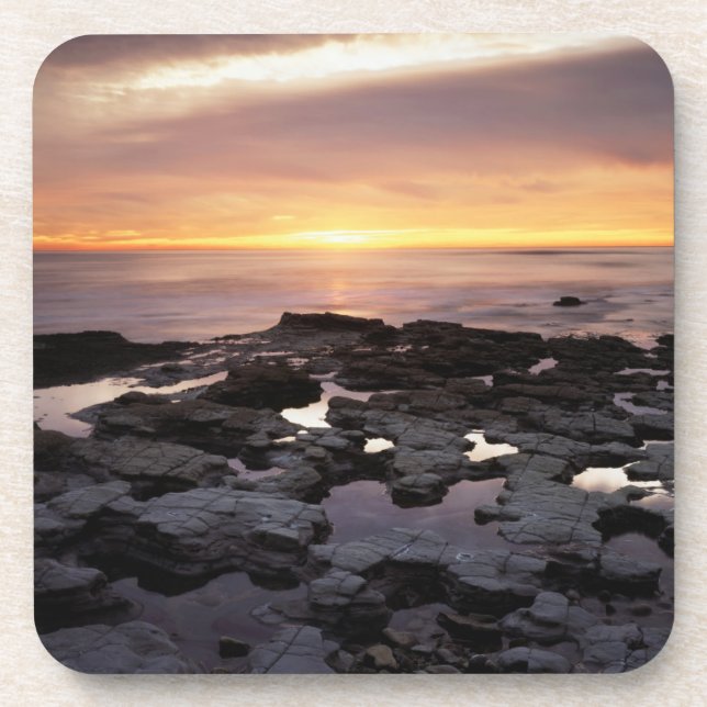 California, San Diego, Sunset Cliffs, Sunset 6 Coaster (Front)