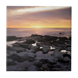 California, San Diego, Sunset Cliffs, Sunset 6 Tile