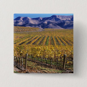 California, San Luis Obispo County, Edna Valley 2 Inch Square Button