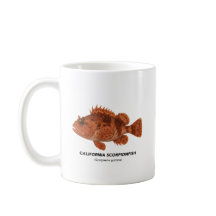 California Scorpionfish – Marine Animals of Califo