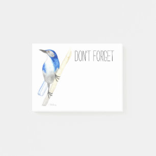 California Scrub Jay Post-it Notes