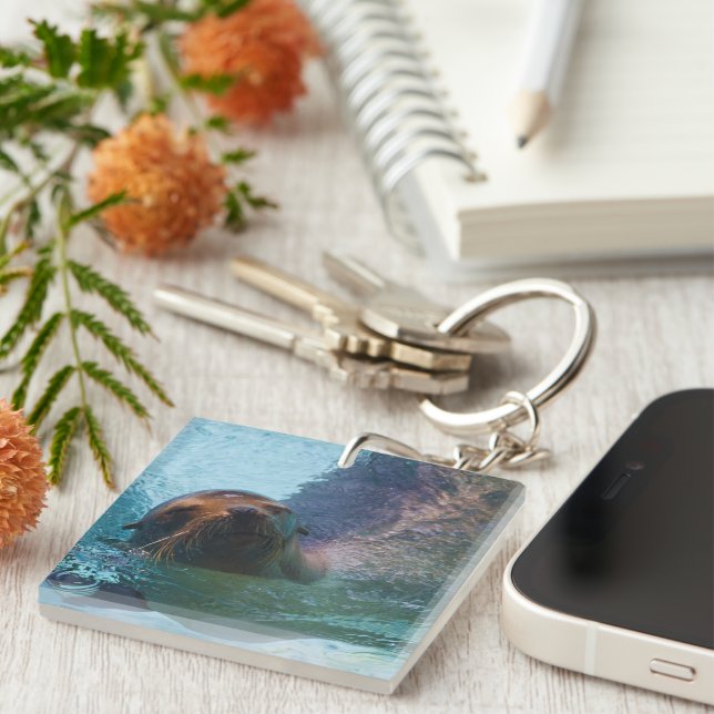 California Sea Lion Keychain (Front Right)