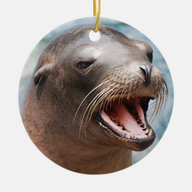 California Sea Lion Ornaments (Front)