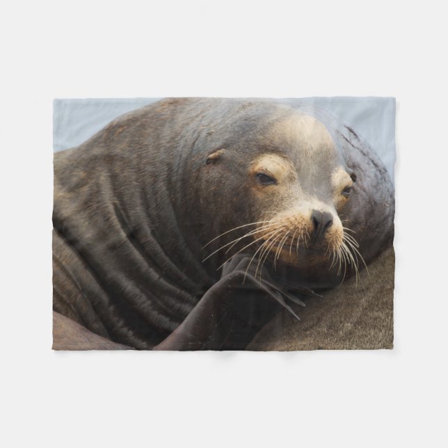California Sea Lion Resting Fleece Blanket (Front (Horizontal))