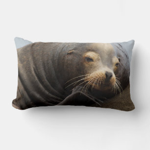 California Sea Lion Resting Lumbar Pillow