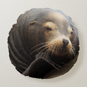 California Sea Lion Resting Round Pillow