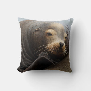 California Sea Lion Resting Throw Pillow