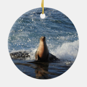 California sea lion, wildlife, ceramic ornament