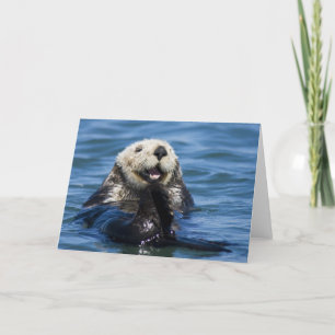 California Sea Otter Enhydra lutris) grooms Card