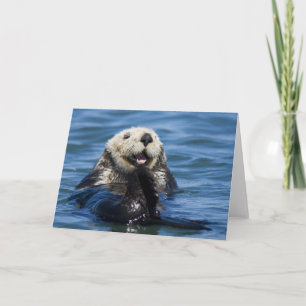 California Sea Otter Enhydra lutris) grooms Card