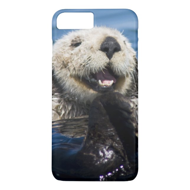 California Sea Otter Enhydra lutris) grooms Case-Mate iPhone Case (Back)