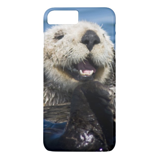 California Sea Otter Enhydra lutris) grooms Case-Mate iPhone Case (Back)