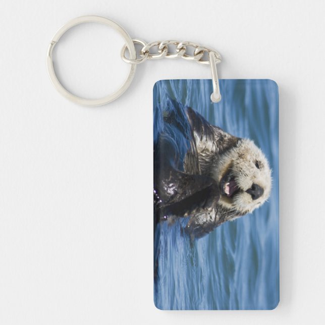 California Sea Otter Enhydra lutris) grooms Keychain (Front)