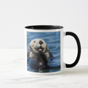California Sea Otter Enhydra lutris) grooms Mug