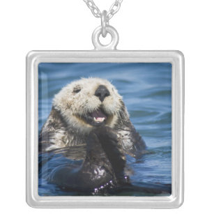 California Sea Otter Enhydra lutris) grooms Silver Plated Necklace