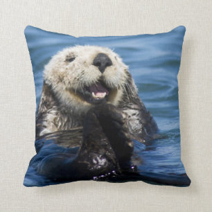 California Sea Otter Enhydra lutris) grooms Throw Pillow