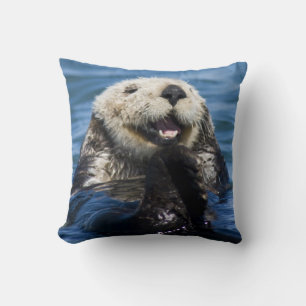 California Sea Otter Enhydra lutris) grooms Throw Pillow