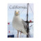 California, Seagull and Boat Postcard