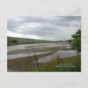 California Seasons - Coyote Creek Postcard