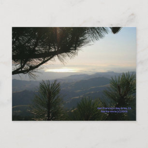 California Seasons - SF Bay Area - Carte postale