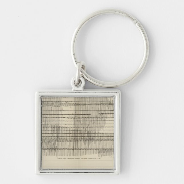 California Seismograms 10 Keychain (Front)