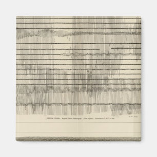 California Seismograms 10 Magnet