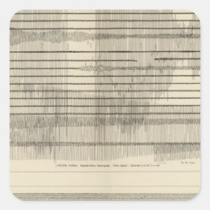 California Seismograms 10 Square Sticker