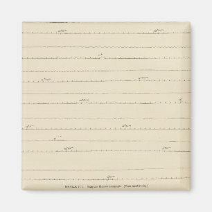 California Seismograms 4 Magnet