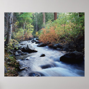 California, Sierra Nevada Mountains 11 Poster