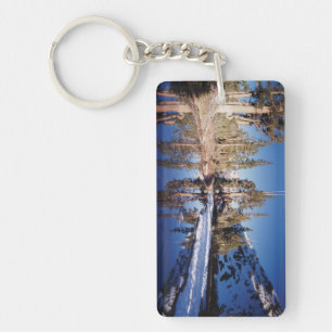 California, Sierra Nevada Mountains 2 Keychain