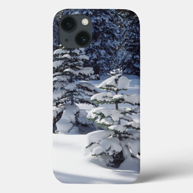 California, Sierra Nevada Mountains 8 Case-Mate iPhone Case (Back)