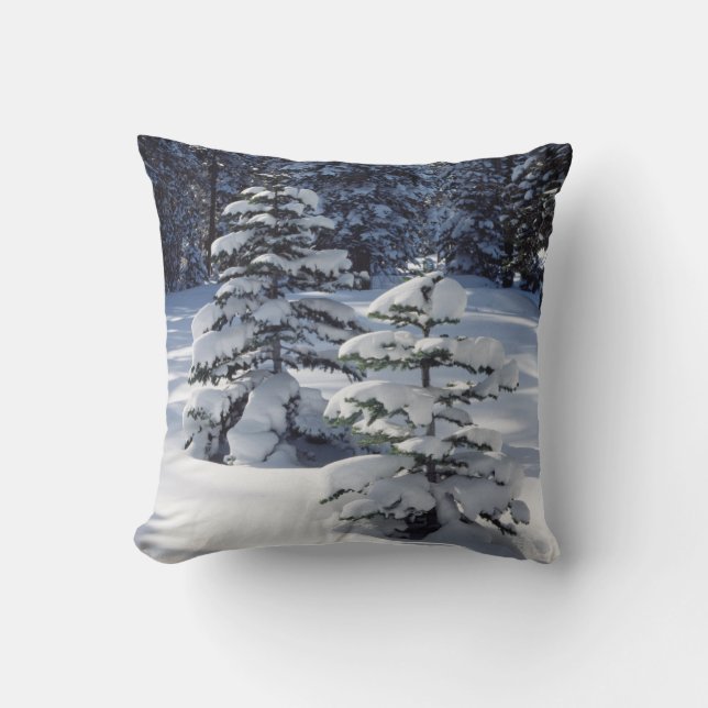 California, Sierra Nevada Mountains 8 Throw Pillow (Front)