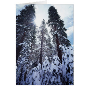California, Sierra Nevada Mountains 9