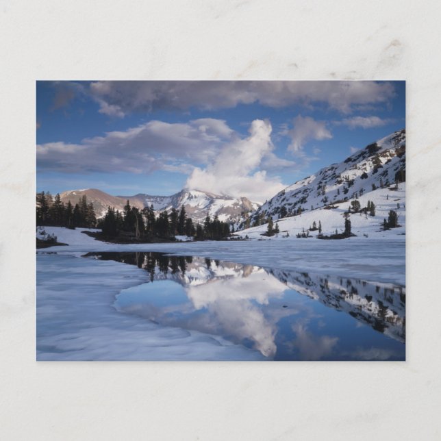 California, Sierra Nevada Mountains, Dana Peak Postcard (Front)