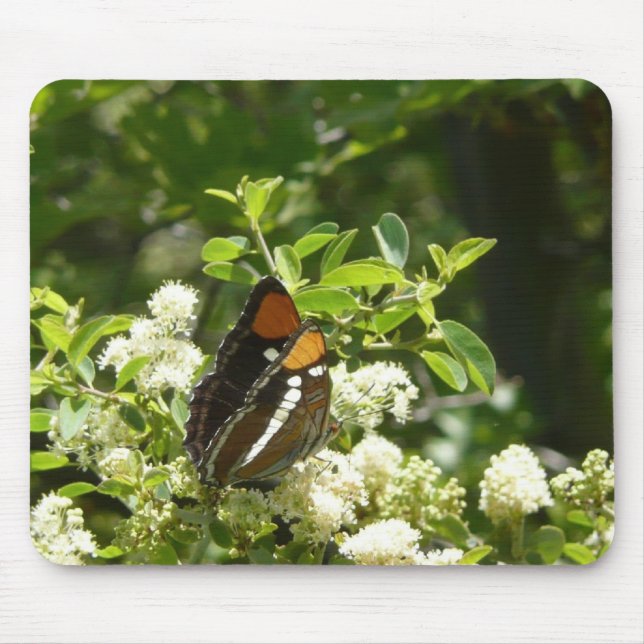 California Sister Butterfly in Yosemite Mouse Pad (Front)