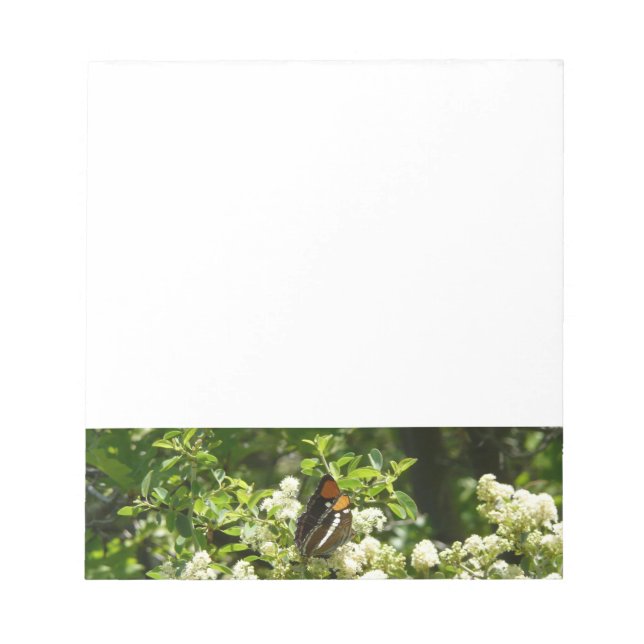 California Sister Butterfly in Yosemite Notepad (Front)