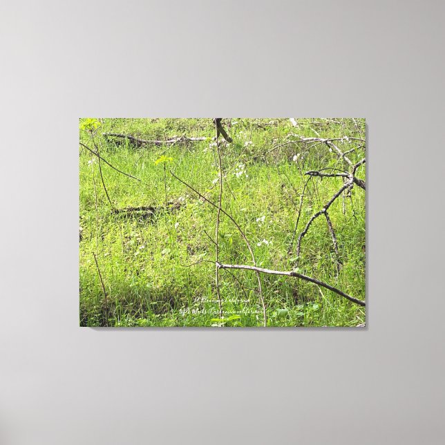 California Spring Canvas Print (Front)