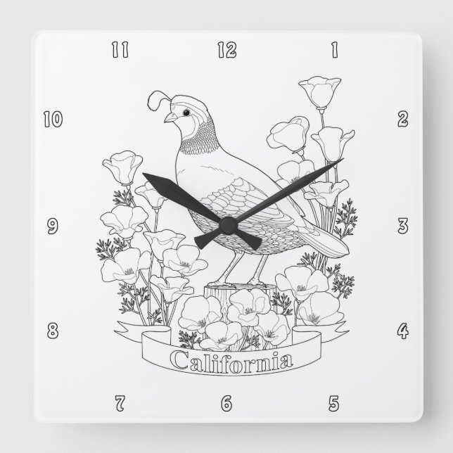 California State Bird and Flower Colouring Page Square Wall Clock (Front)