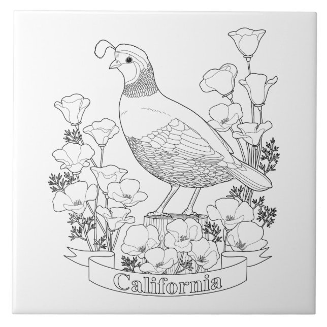 California State Bird and Flower Colouring Page Tile (Front)