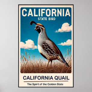 California State Bird - California Quail Vintage Poster