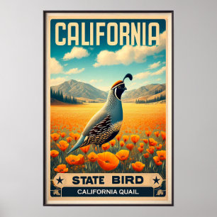 California State Bird - California Quail Vintage Poster