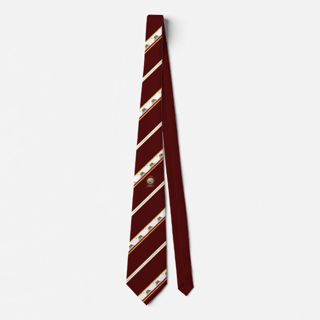 California stripes flag tie (Front)