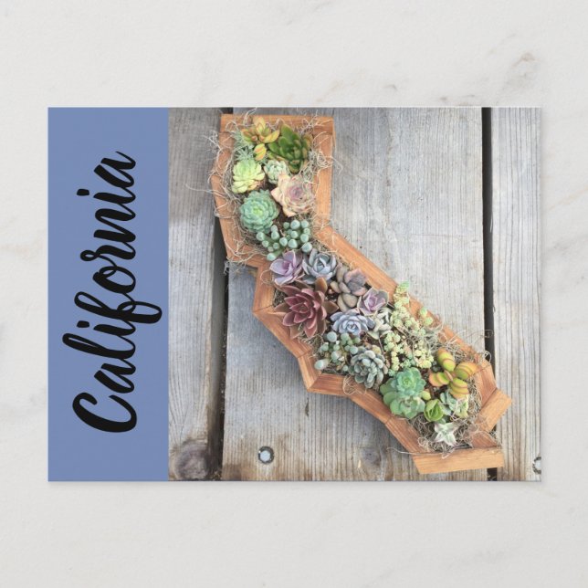 California Succulent Postcard (Front)