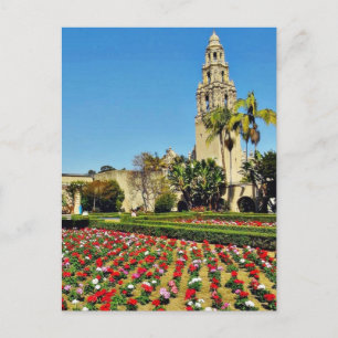 California Tower In Balboa Park Postcard